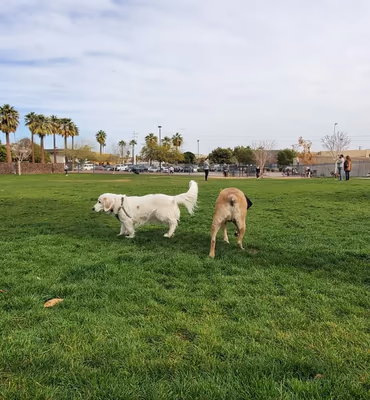 Dog Park at Margaret T. Hance Park